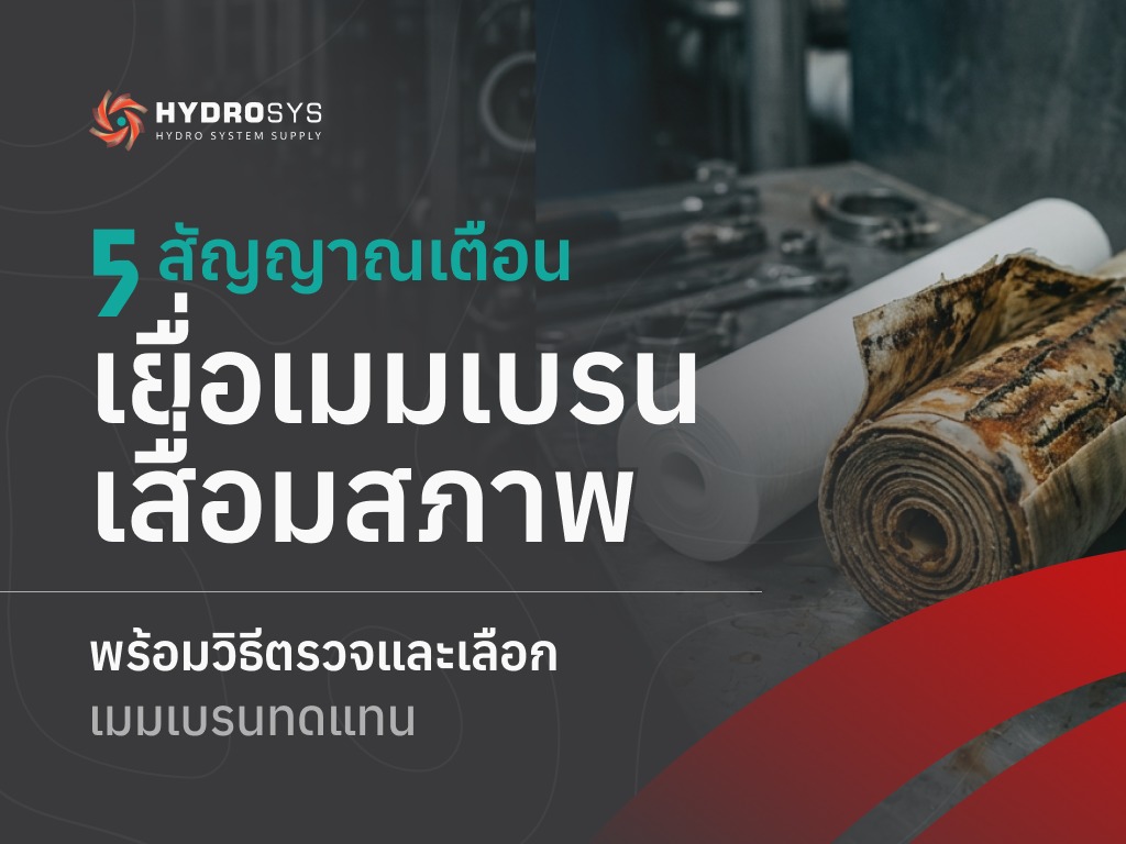 5 สัญญาณเตือนเยื่อเมมเบรนเสื่อมสภาพ พร้อมวิธีตรวจและเลือกเมมเบรนทดแทน